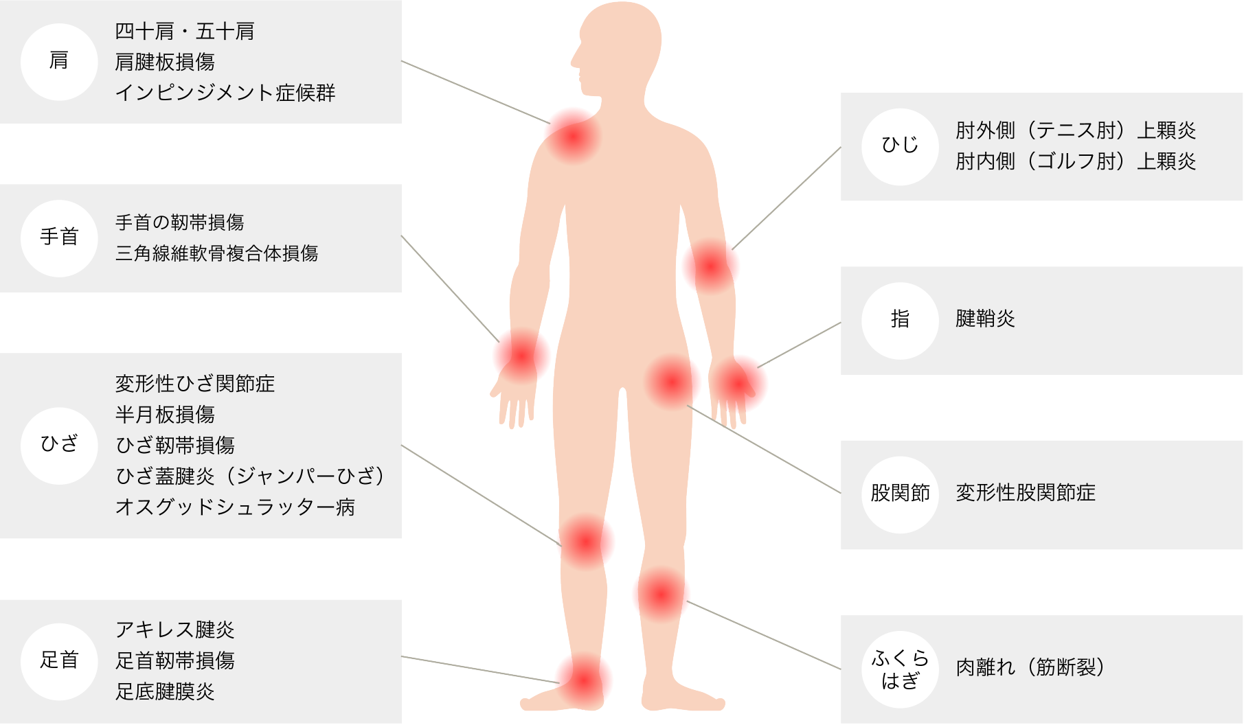 PRP療法が応用できる部位