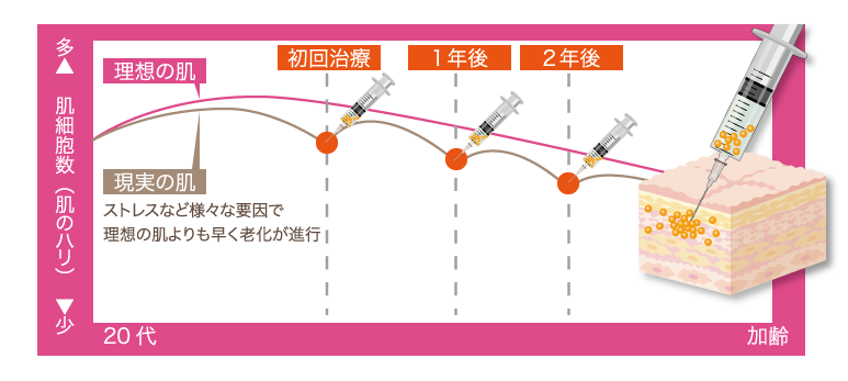 セルバンクイメージ図