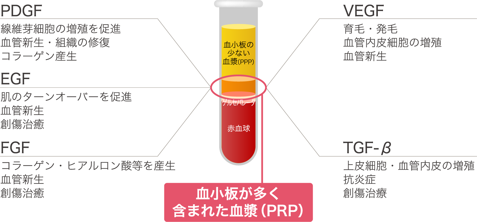 PRP(多血小板血漿)に含まれる主な成長因子