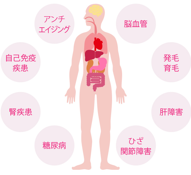 幅広く応用できる幹細胞による機能回復