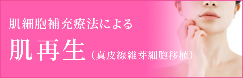 肌細胞補充療法による肌再生（真皮線維芽細胞移植）