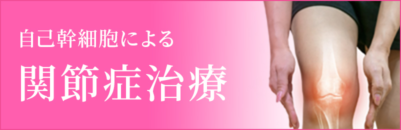 自己幹細胞による関節症治療