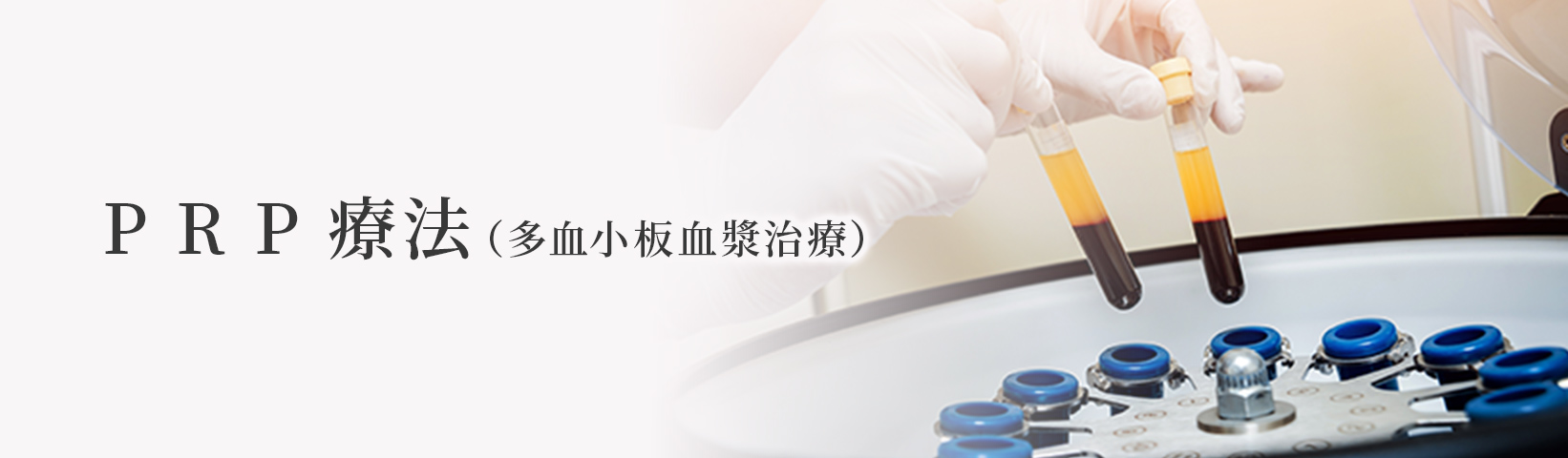 P R P 療法(多血小板血漿治療)